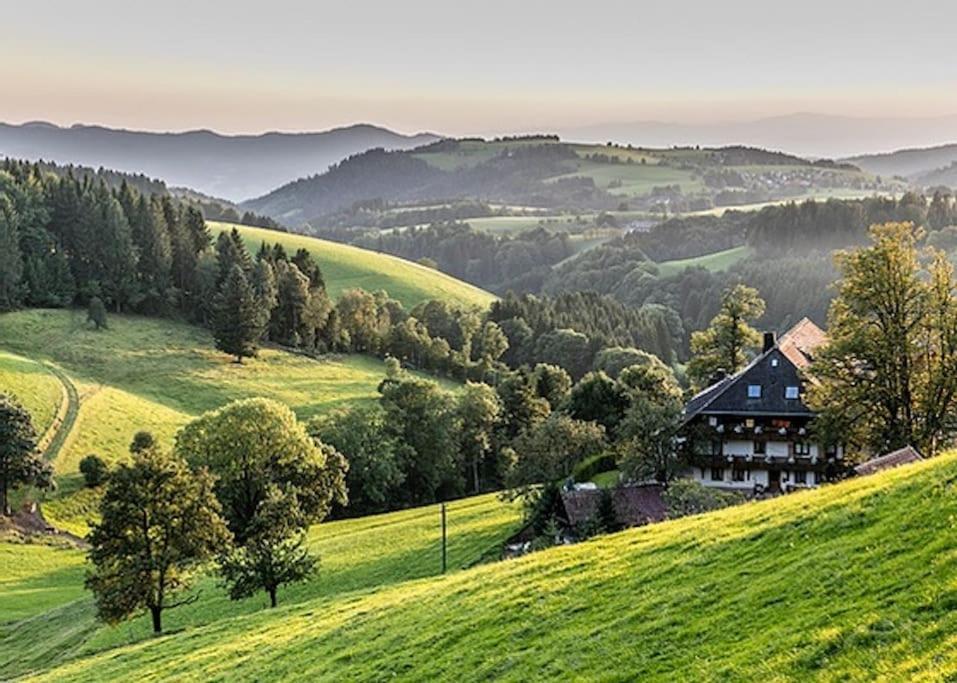 Ferienwohnung Lotti + Hochschwarzwald Card 티티제-노이슈타트 외부 사진