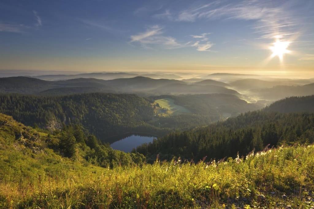 Ferienwohnung Lotti + Hochschwarzwald Card 티티제-노이슈타트 외부 사진