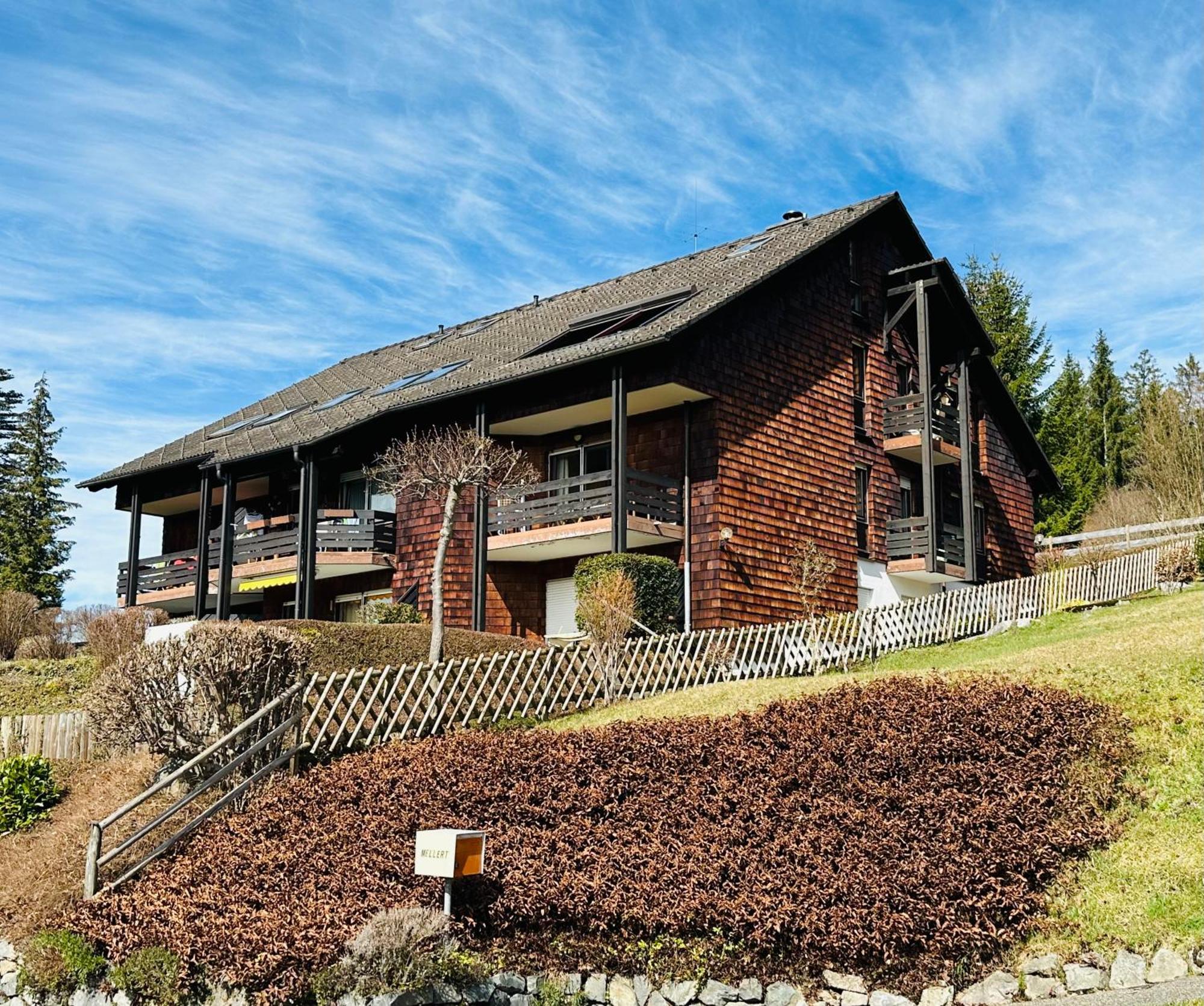 Ferienwohnung Lotti + Hochschwarzwald Card 티티제-노이슈타트 외부 사진